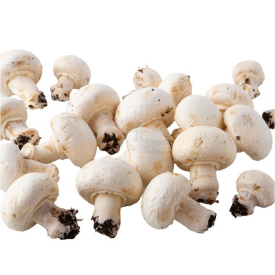 Шампиньоны свежие 500 г - купить в Кузнецовском